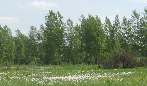 фотки есть