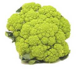   (cauliflower)    (broccoflower = green cauliflower)  ... - 2