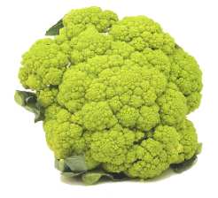 Цветная капуста (cauliflower) Зеленая цветная капуста (broccoflower = green cauliflower) Зеленая ве... - 2