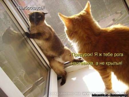 НУ ВСЁ