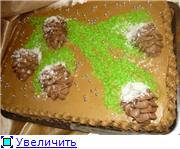 торт ветка с шишками торт елочка торт соник - 3