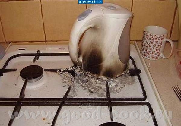 Ну, БабЛен, я ж вчера просила сквозняк не устраивать на кухне, а ты вообще форточку законопатила