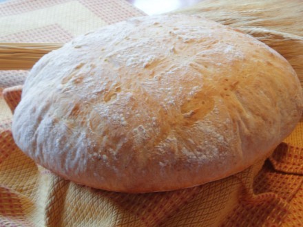           (recept stavila v otchetah i o... - 2