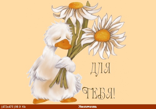 Саша