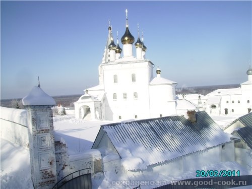 20 февраля 2011 года мы ездили в г