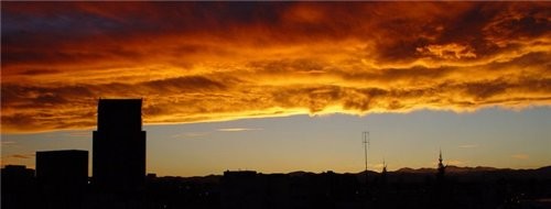 Я вам ещё Колорадо принесла