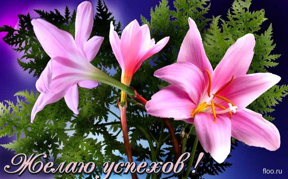 НАТАШЕНЬКА, С ДНЕМ РОЖДЕНИЯ