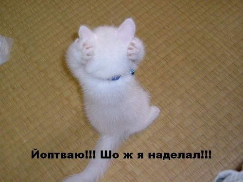 я решила малехо похулиганить