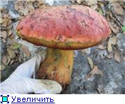 Всем привет - 3