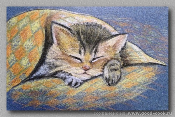 кот