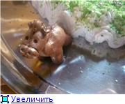 торт кукла барби торт с лошадкой торт король-лев - 9