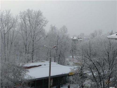 Девчонки