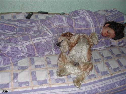 Так спят мои дети