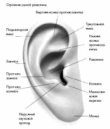 Ой сколько нарисовала,молодец