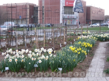 Привет, девулечки - 2