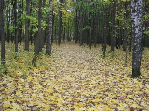 Девочки, а я