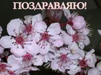 О всей души