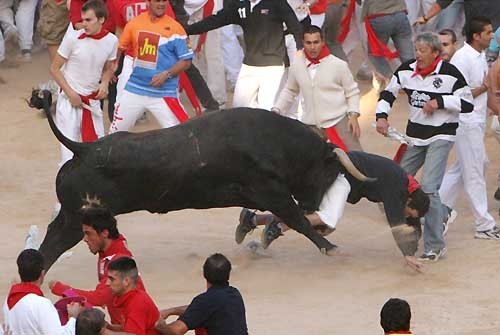 Несмотря ни на что праздники SAN FERMIN в Памплоне положили начало сезону коррид - 2