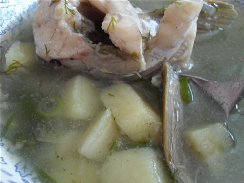 Алена рецепт написала, оладушки супер куриные сердечки с ньеками ммм
