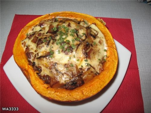 ,   , ,   ,   ,  -...