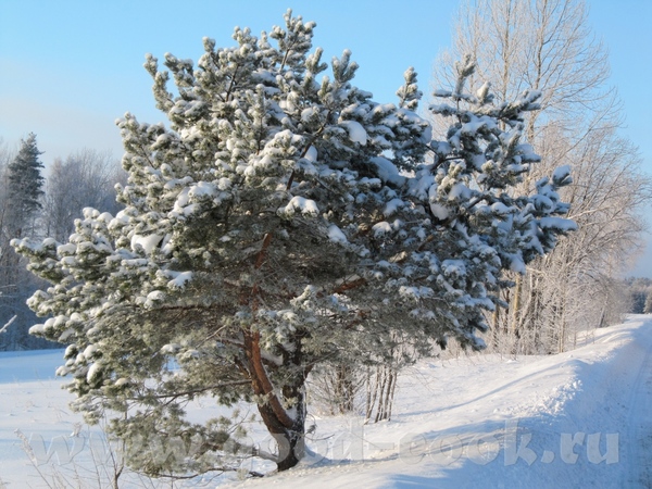 Ух - 2