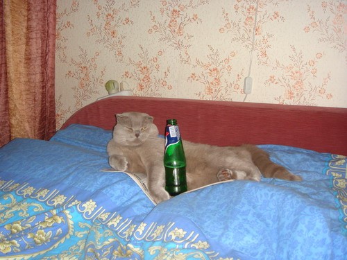 а вот он каким вырос:
