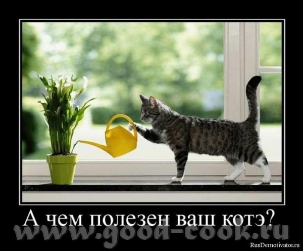 Наташ,давай,выздоравливай
