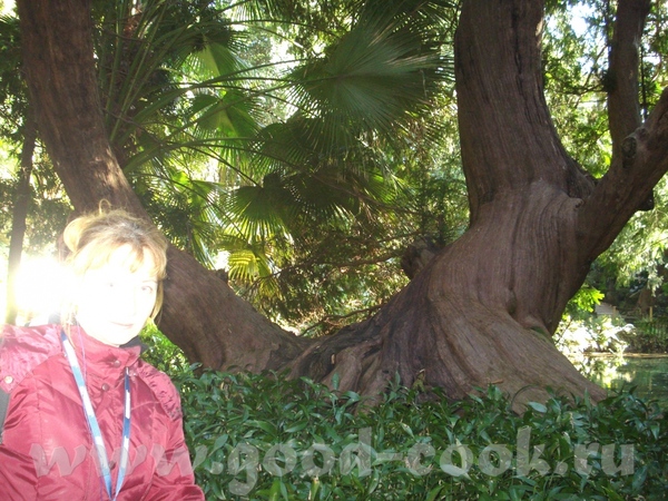 Девочки - 9