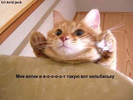 Тов - 3