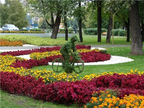 Велосипедист догоняет повозку По поводу этого фото мы поспорили с мужем