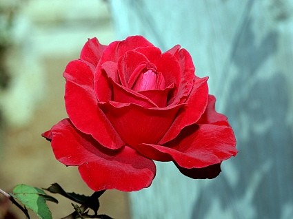 Какие фоты - 3