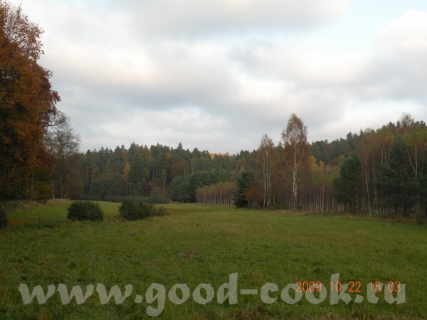 Девочки спасибко - 3