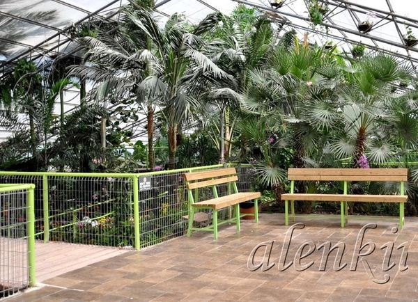Среди растений стоят скамейки, где можно присесть отдохнуть и полюбоваться окружающей красотой - 3