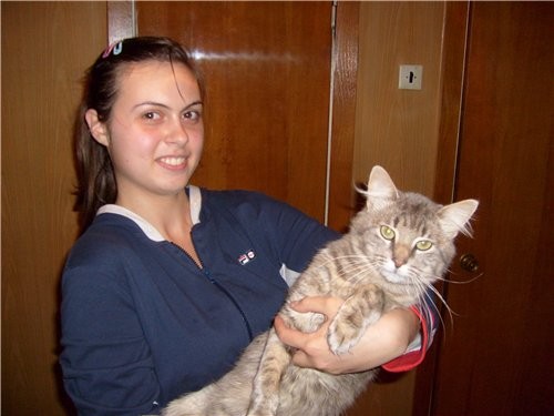 У нас с мужем никакой живности нет, авот у родителей, котоыре живут с нами в одном доме, есть котик