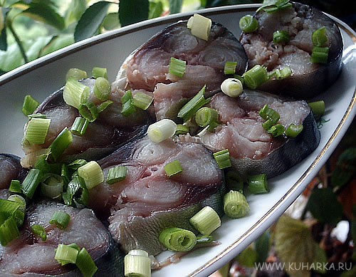 "СОЛЕНАЯ СКУМБРИЯ"