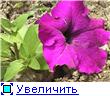 , у меня мама по необходимости стала принимать кальций в таблетках - 3
