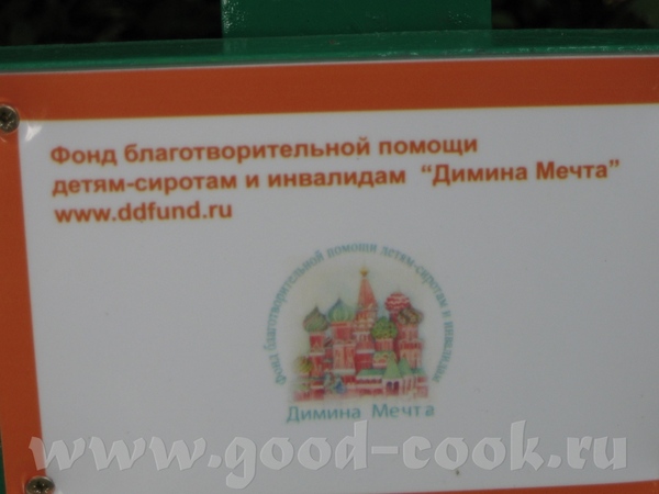 В парке "Сокольники" сегодня вот такое чудо: жасмин грибочек: красотка-утка Белоснежка: А теперь ро... - 7