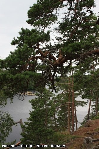 А тут просто без комментариев ……… - 7