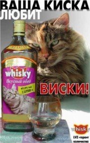 А у меня аукцион сорвался - хотела блузку купить на инете Лерк
