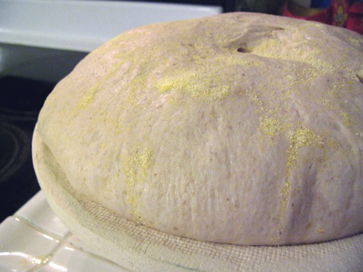 Рецепт взят из той же книги, что и Тортано: Maggie Glezer, Artisan Baking - 6