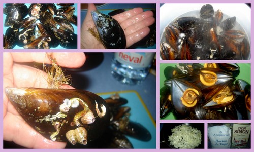 сколько вкусностей наготовила Mejillones con salsa Мидии с соусом Сегодня купили на рынке великолеп... - 2