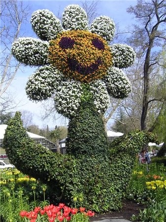 Островок MAINAU , расположен на (оз Боден), рядом с - остров маленький, всего 45 га - 3