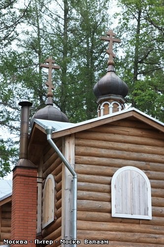 Коневский Скит А дорога продолжается Одинокая берёзка среди соснового леса - 2
