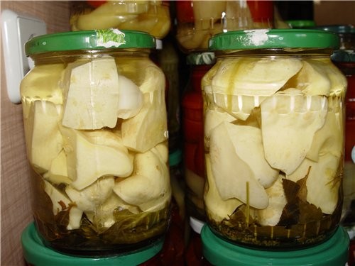 ПАтиссоны
