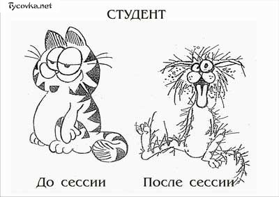 Галя , мы тебя сегодня ругаем