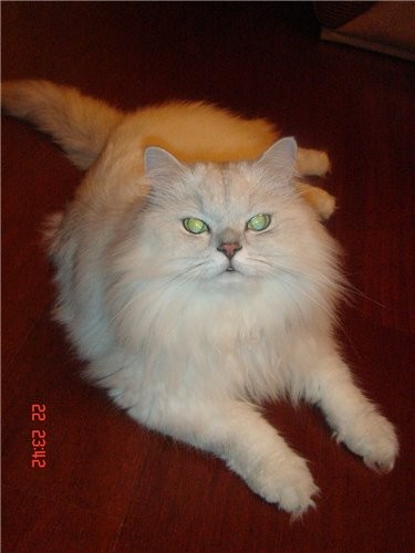 Девочки,мальчики,всем привет - 2