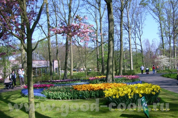 Аллочка какая красота, СПАСИБО - 3
