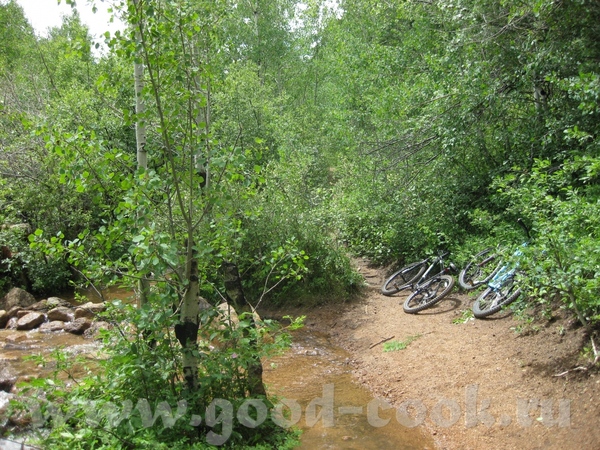 Наш городок располагается у подножья горы, мы с мужем частенько катаемся на велосипедах по горным д... - 3