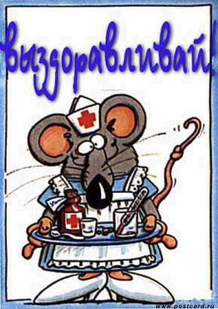 выздоравливай