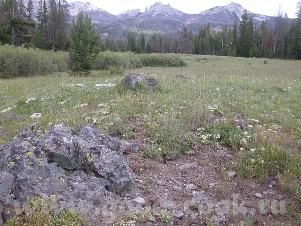 Девчата, здорово - 3